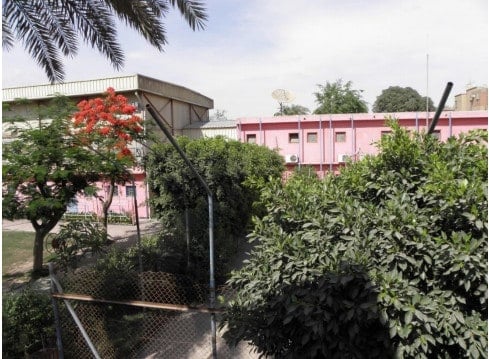 Lycée Français du Caire Maadi